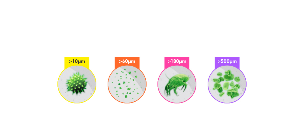 The four categories of particle counted by the vacuum